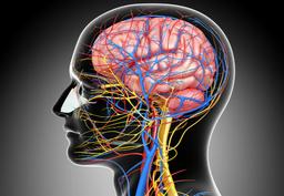 placeholder image to represent content