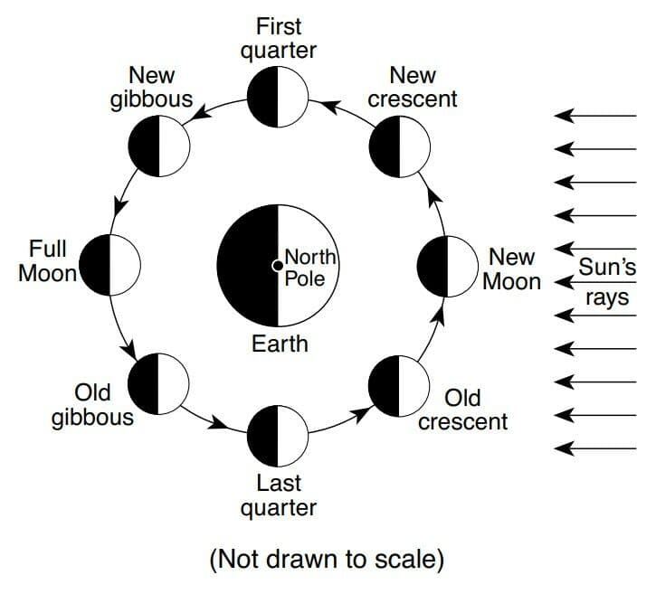 Question Image