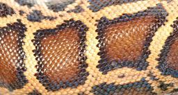 placeholder image to represent content