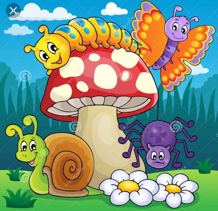 Question Image