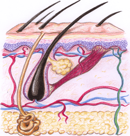 placeholder image to represent content