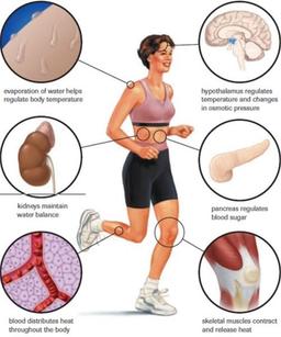 placeholder image to represent content