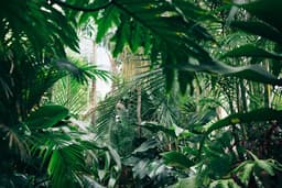 placeholder image to represent content
