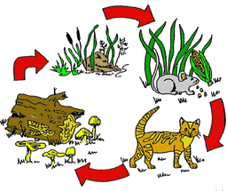 placeholder image to represent content