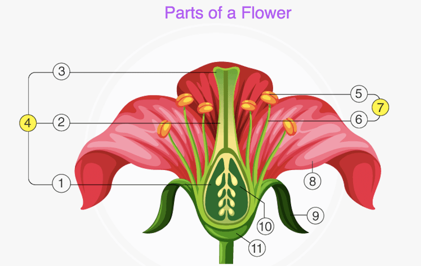 Question Image