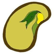 placeholder image to represent content