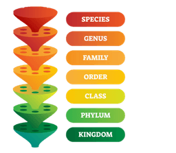 placeholder image to represent content