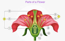 placeholder image to represent content