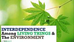 placeholder image to represent content