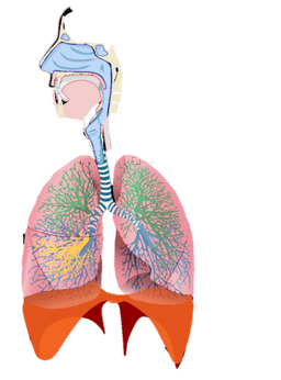 placeholder image to represent content