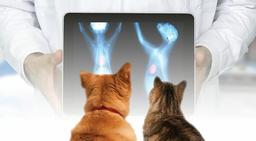 placeholder image to represent content