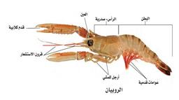 placeholder image to represent content