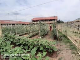 placeholder image to represent content