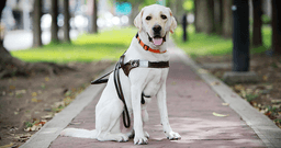 placeholder image to represent content