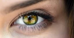 placeholder image to represent content