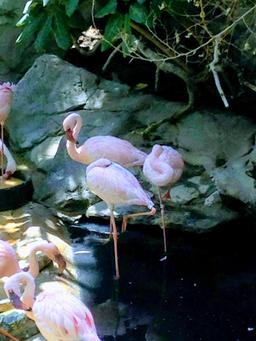 placeholder image to represent content