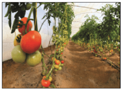 placeholder image to represent content