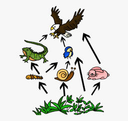 placeholder image to represent content