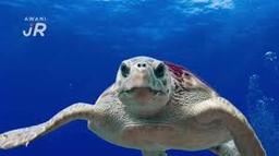 placeholder image to represent content