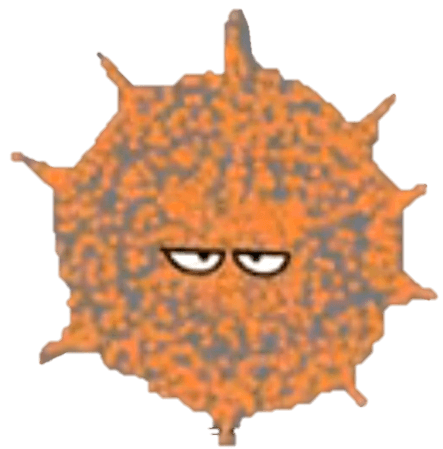 Answer Image