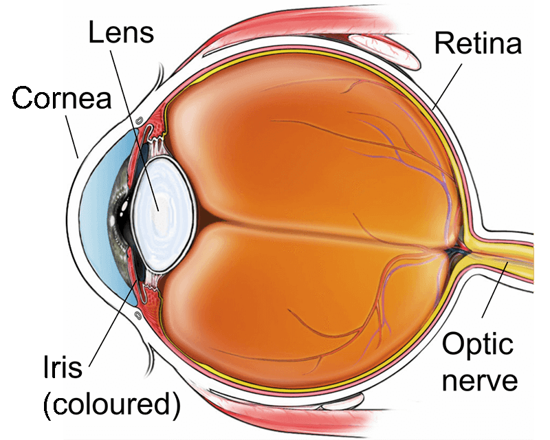 Question Image