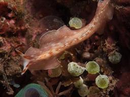 placeholder image to represent content