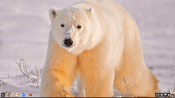 placeholder image to represent content