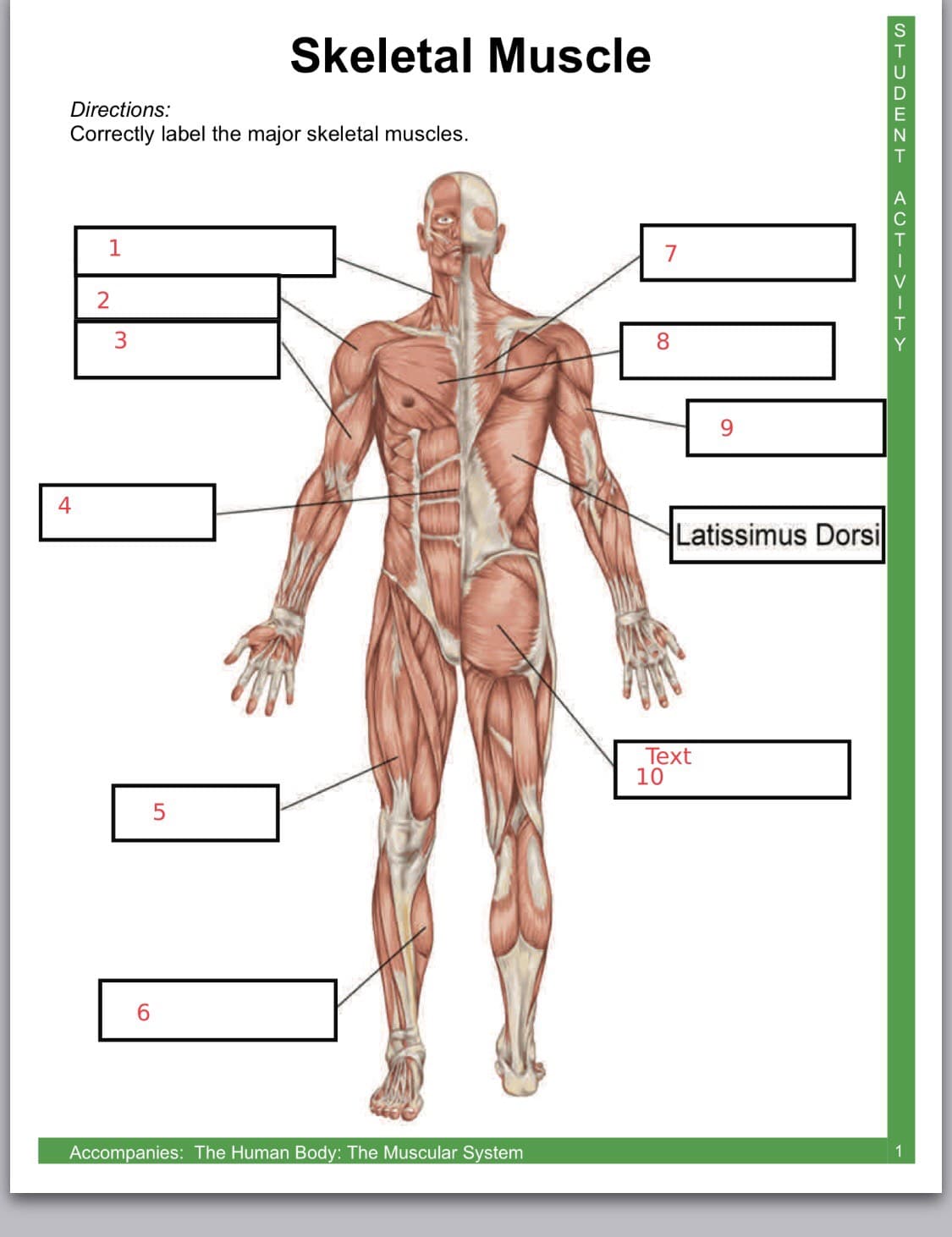 Question Image