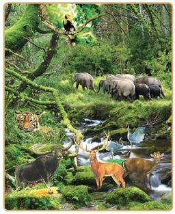 placeholder image to represent content