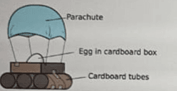 Question Image