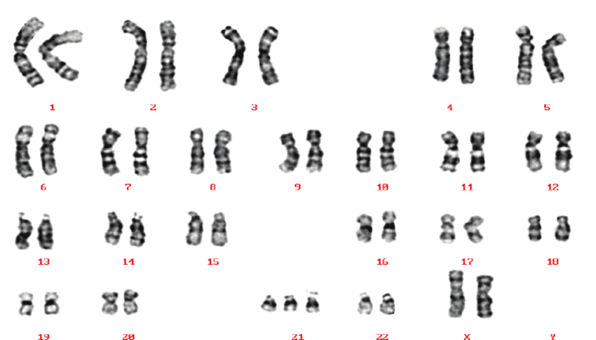 Question Image