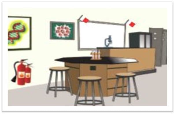 Answer Image