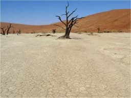placeholder image to represent content
