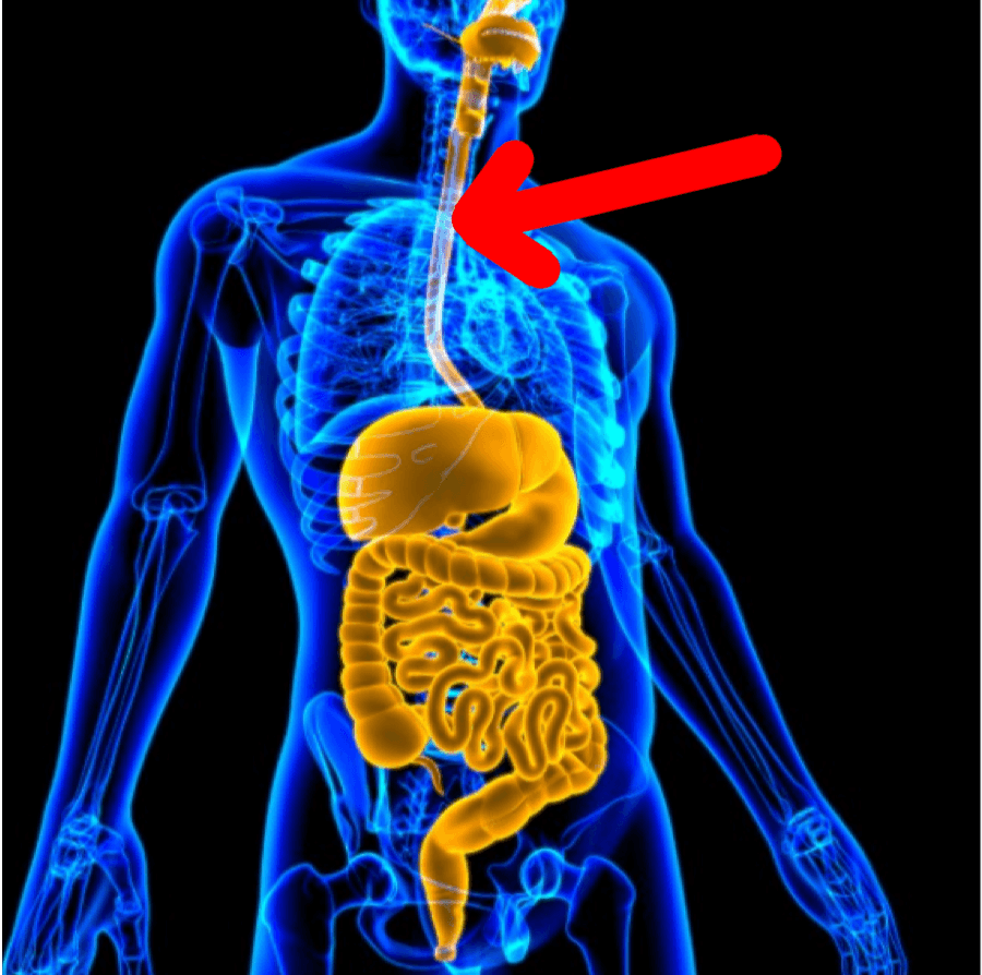 Question Image
