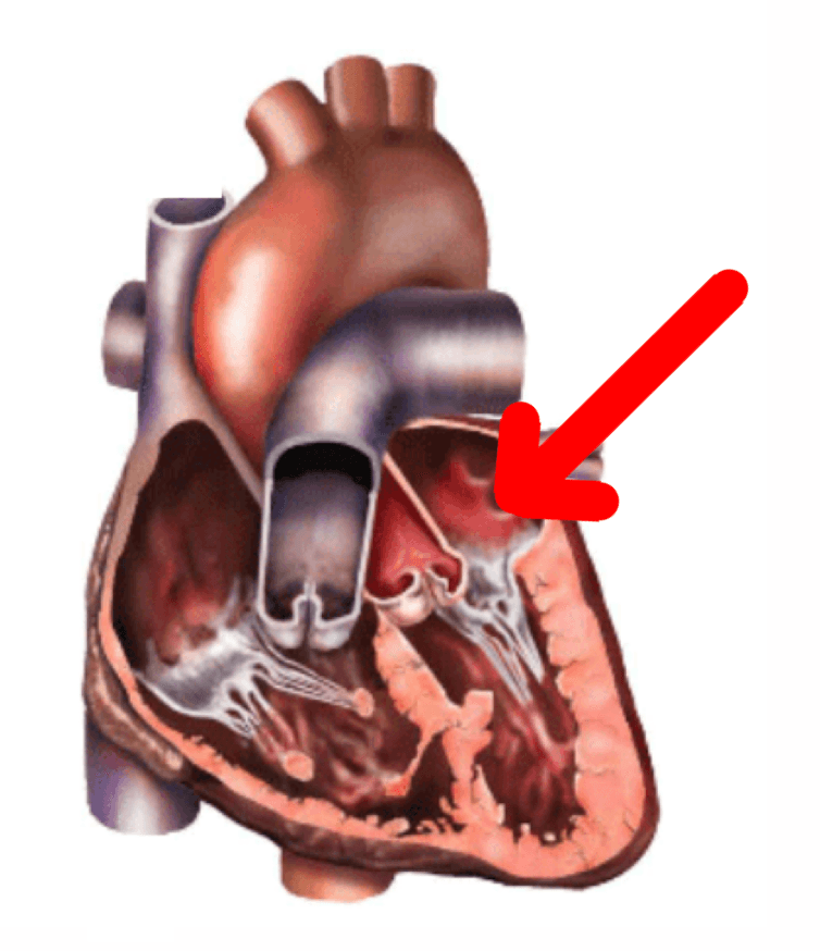 Question Image