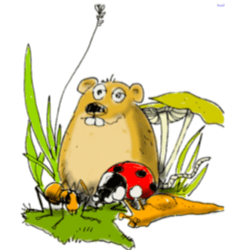 placeholder image to represent content
