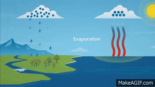 placeholder image to represent content