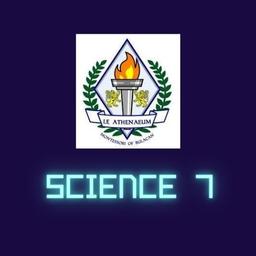 placeholder image to represent content