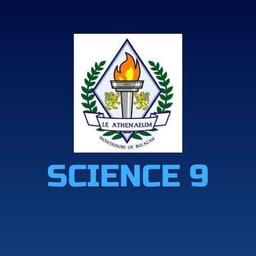 placeholder image to represent content