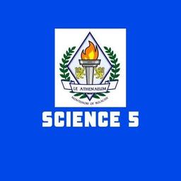 placeholder image to represent content