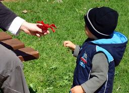 placeholder image to represent content