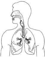 placeholder image to represent content