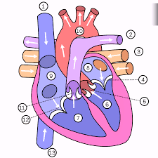 placeholder image to represent content