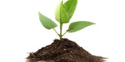 placeholder image to represent content