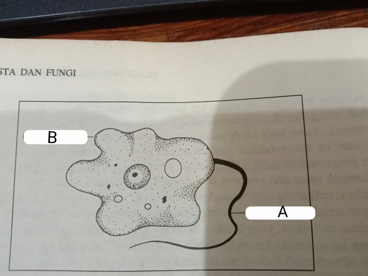 Question Image