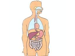 placeholder image to represent content