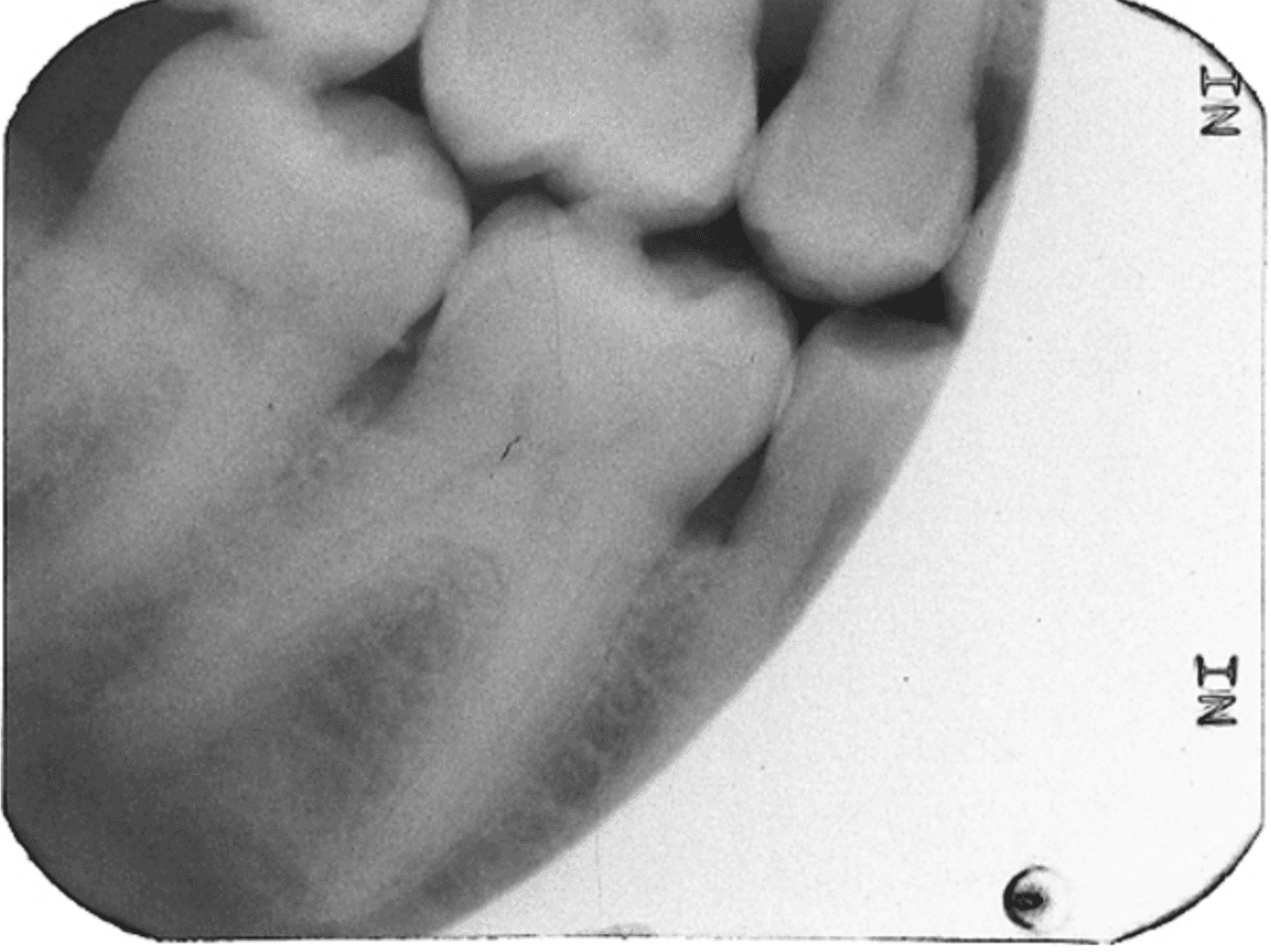 Question Image