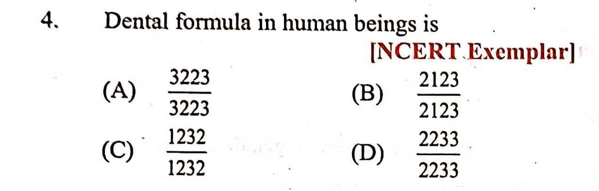 Question Image