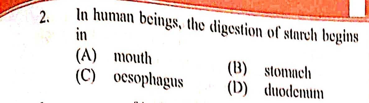 Question Image