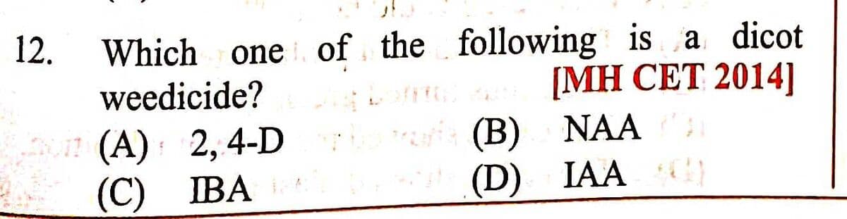 Question Image